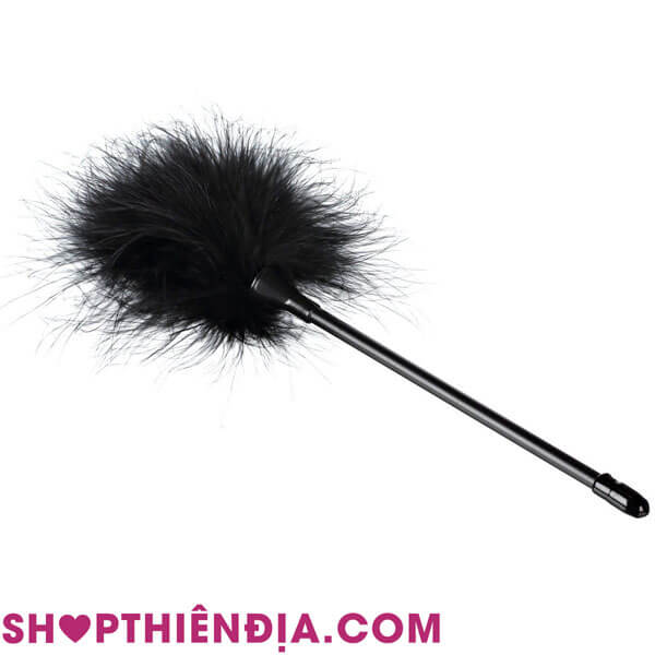 Chổi lông vũ ve vuốt