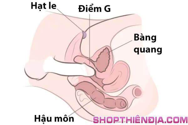 Góc độ tốt nhất khi đút dương vật vào để kích thích điểm G
