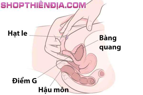 Kích thích đồng thời hạt le và điểm G bằng tay