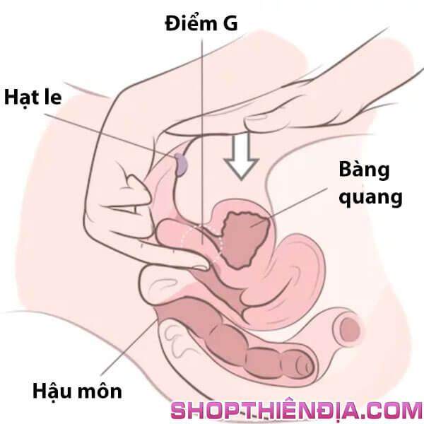 Tạo thêm áp lực kích thích điểm G