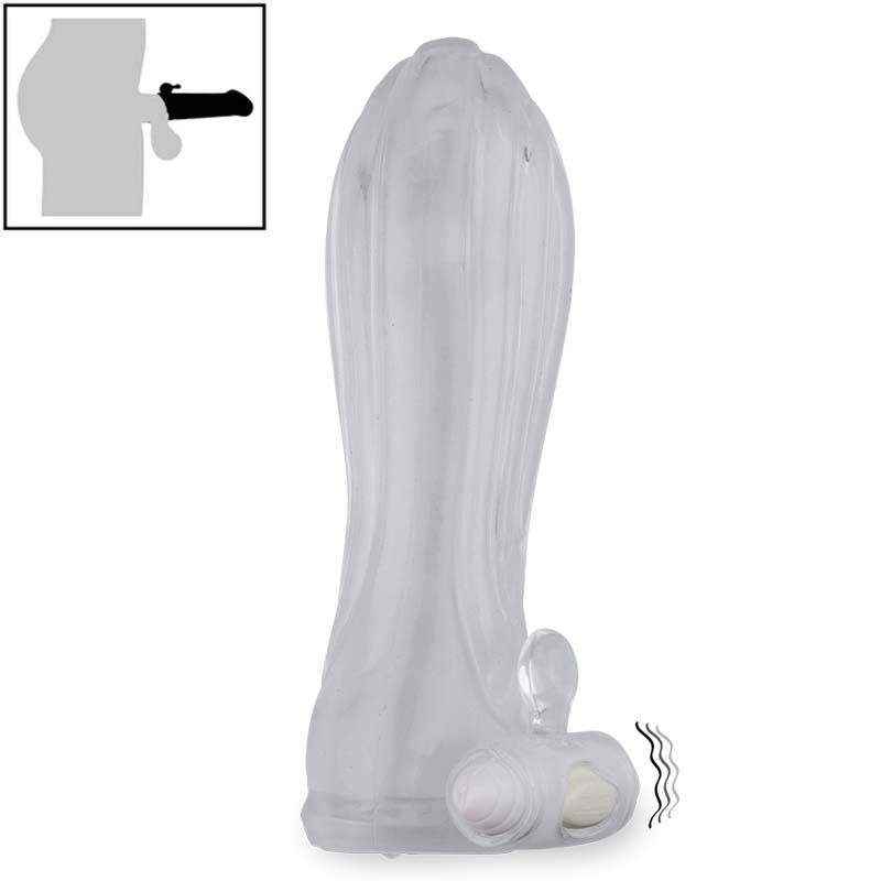 Bcs đôn dên trong suốt Colby gân dọc