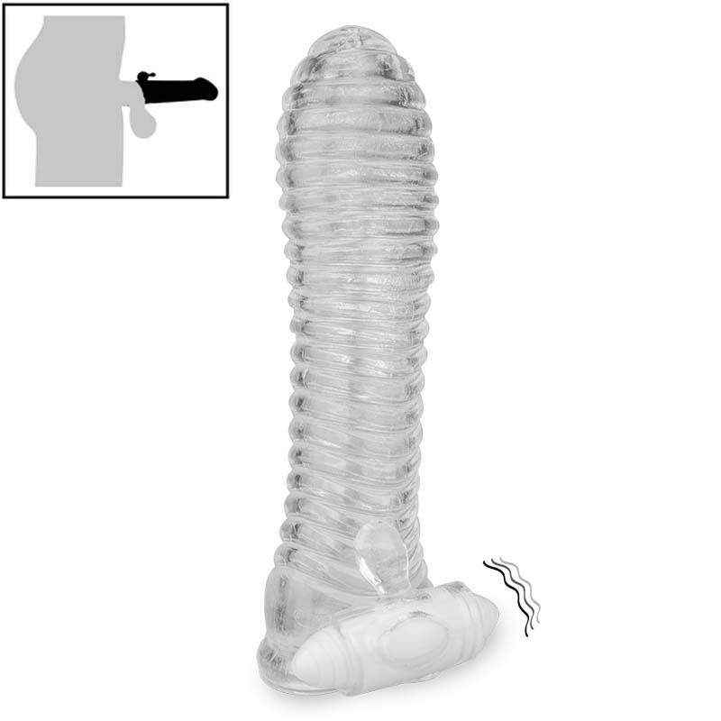 Bcs đôn dên trong suốt Colby gân ngang